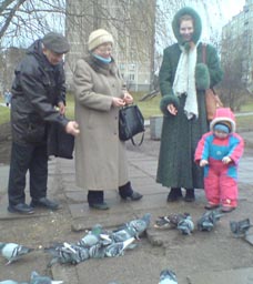 We feed birds