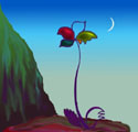 Hopes